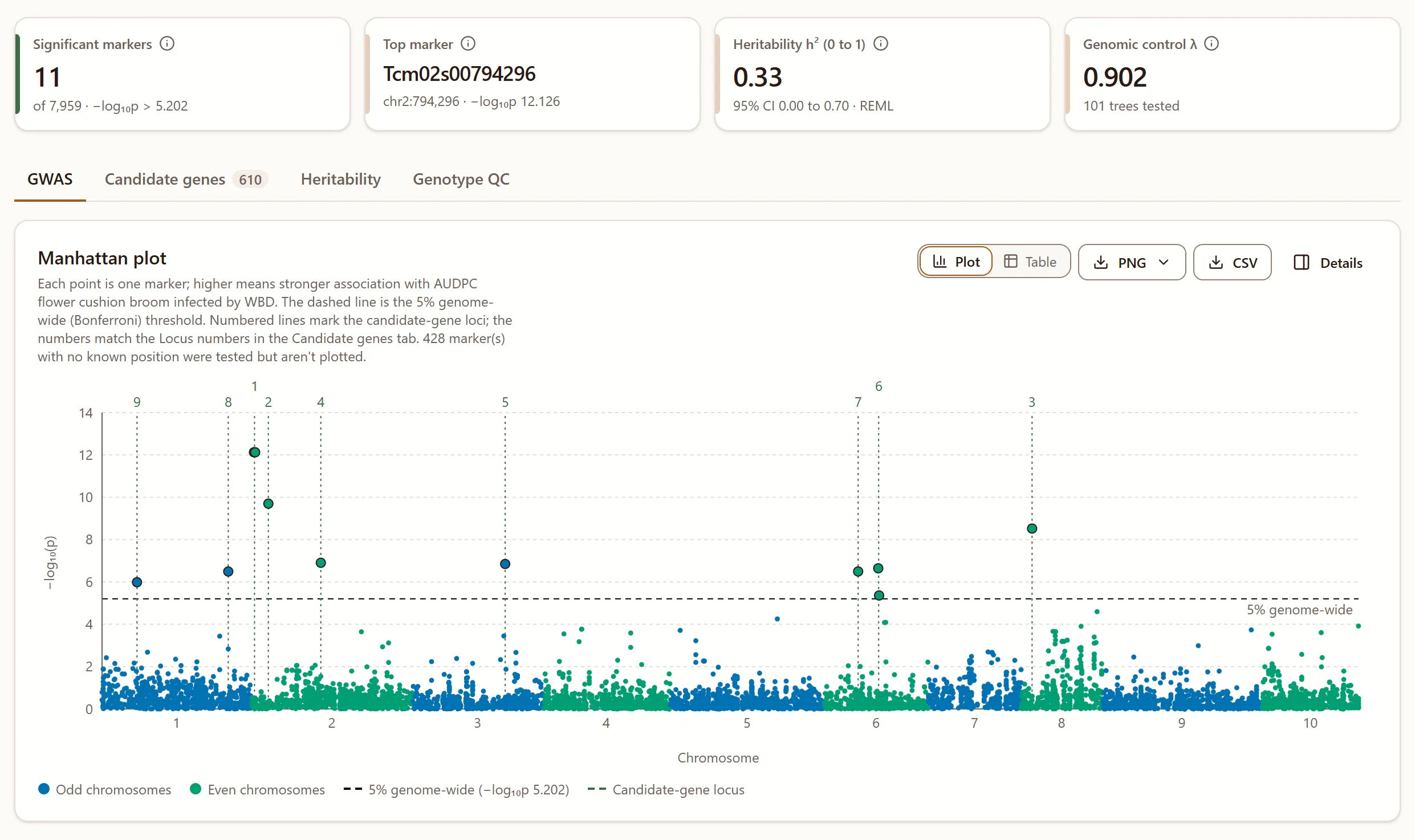 GWAS results screen: Manhattan plot with the Bonferroni threshold line and the chromosome 2 peak for witches’ broom on flower cushions